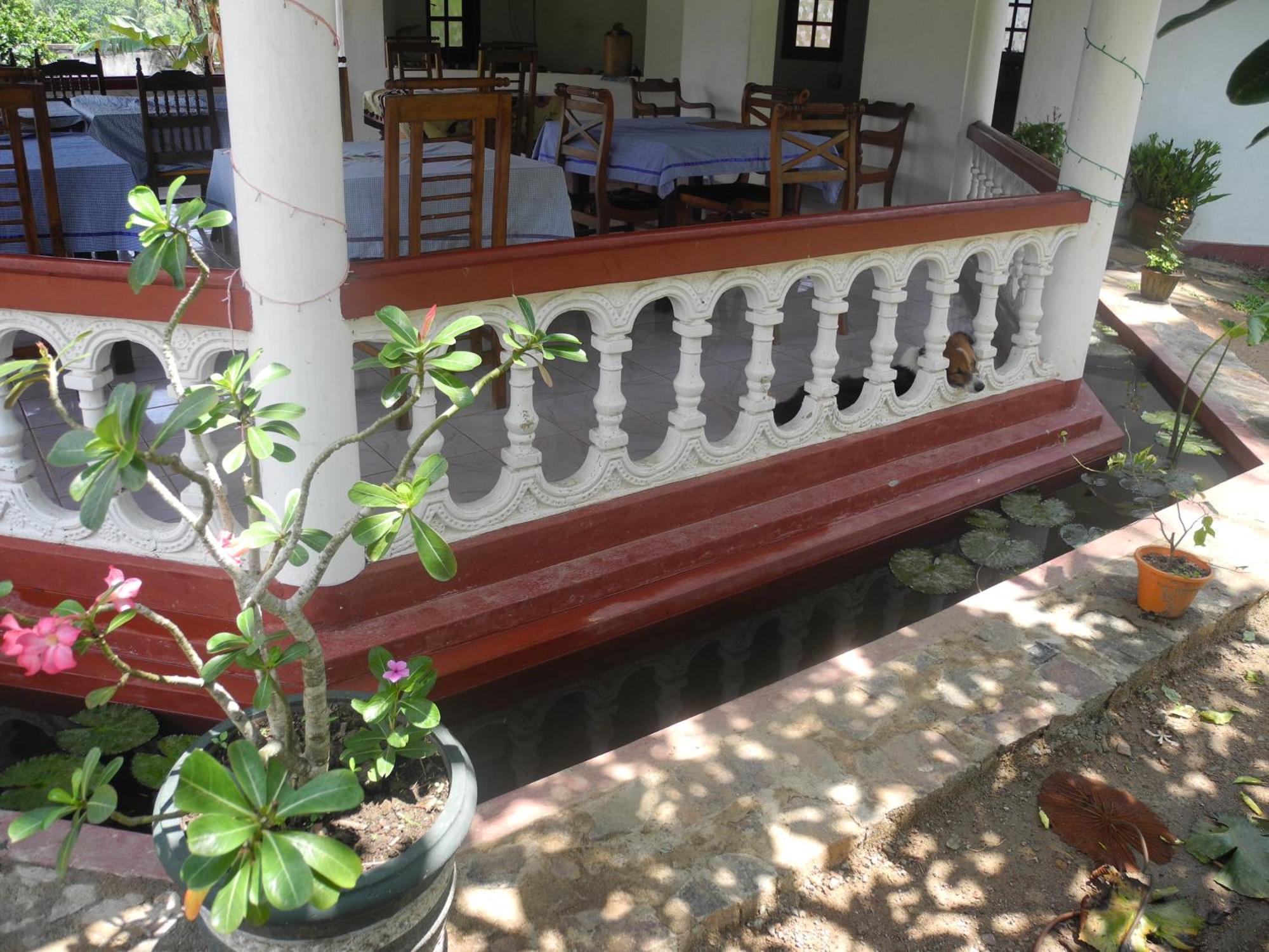 Top Of The Hill Guesthouse Weligama Exterior foto