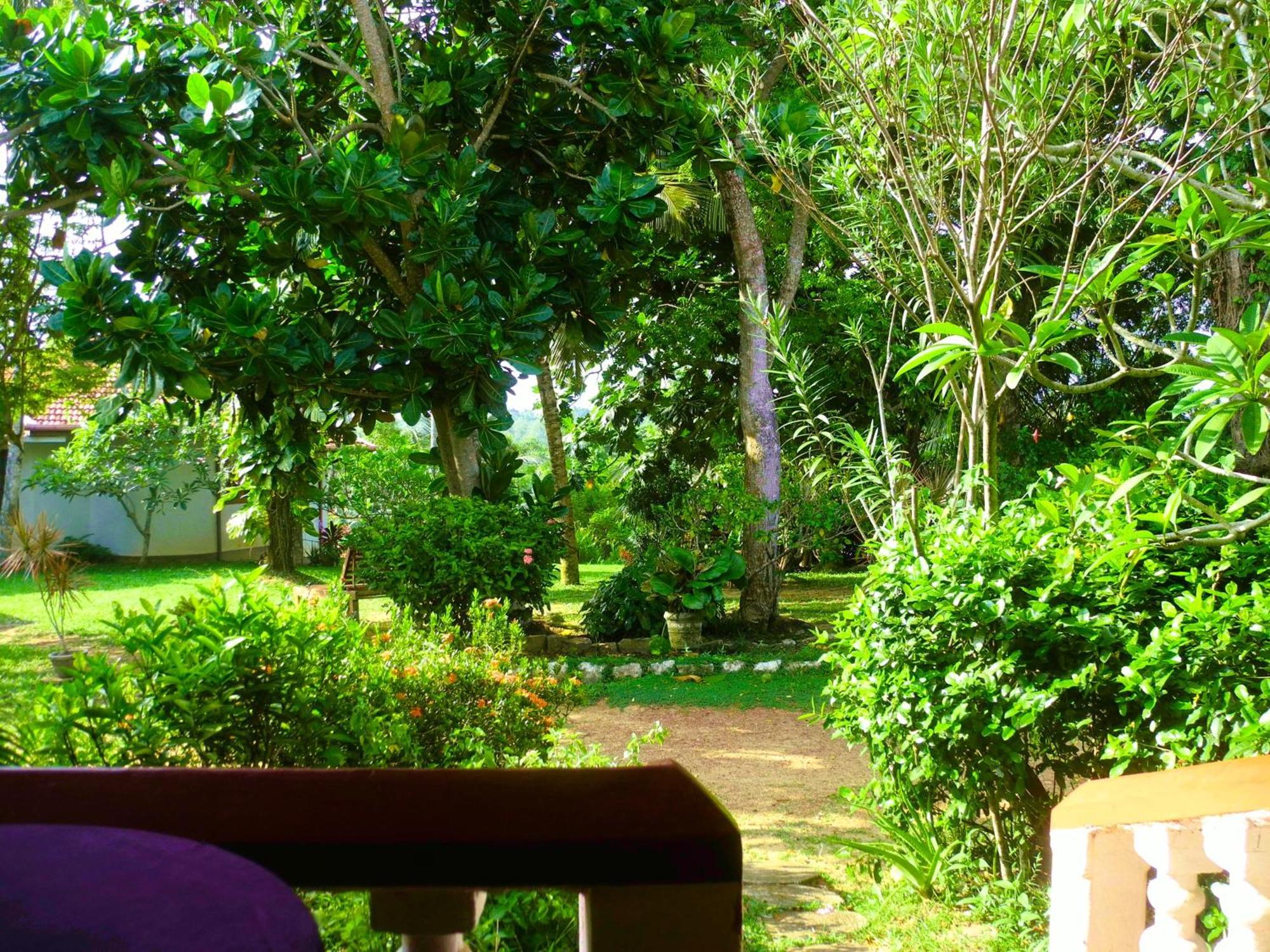 Top Of The Hill Guesthouse Weligama Quarto foto